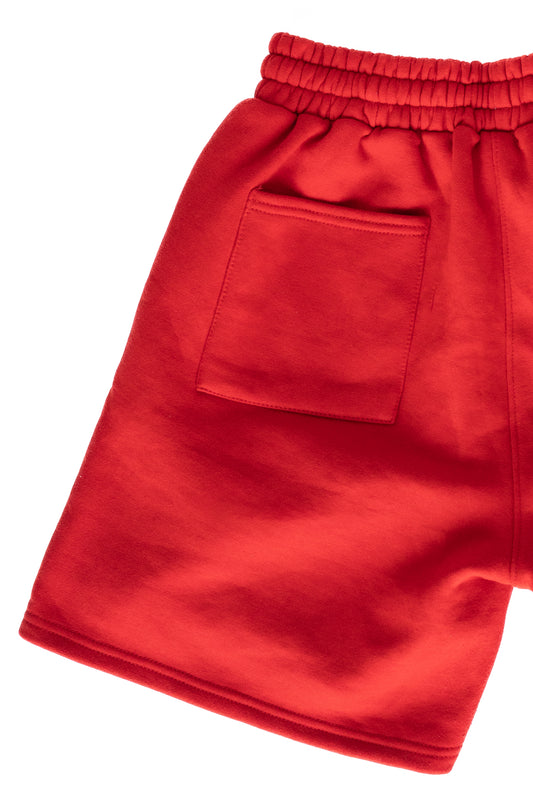 Mainstream Varsity Shorts